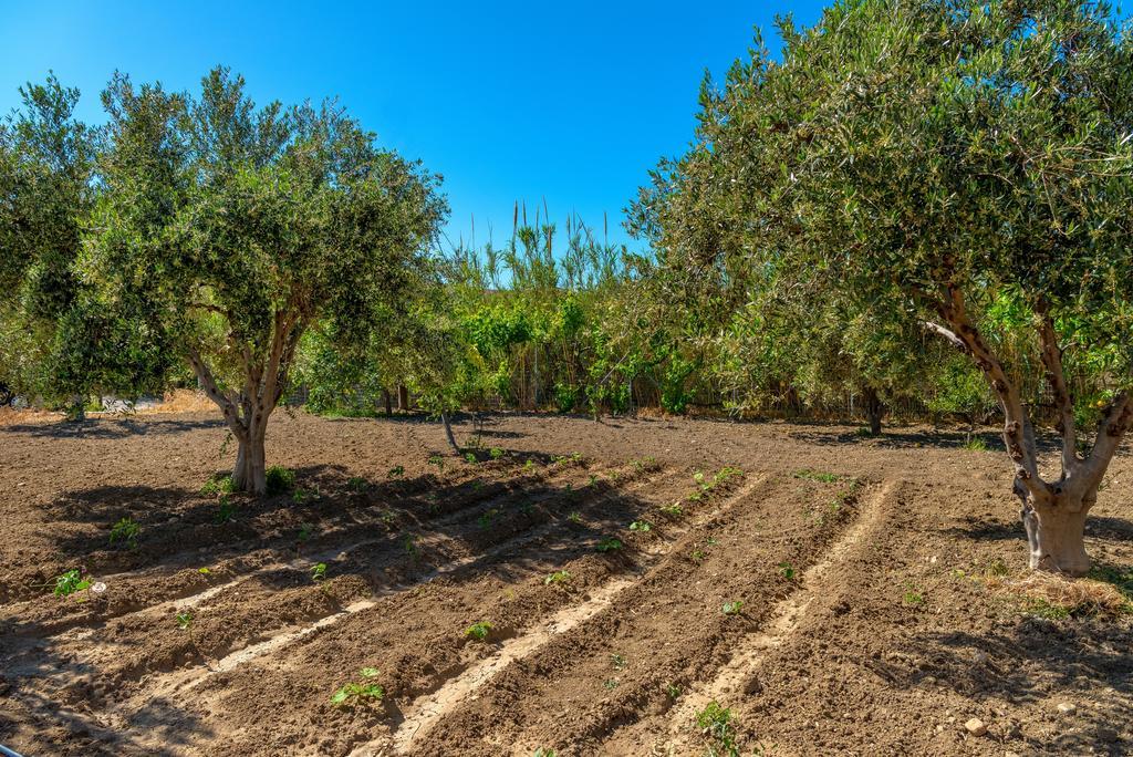 Engaraí Villa Delona מראה חיצוני תמונה